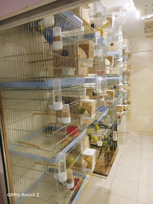 Arslan Pet Shop