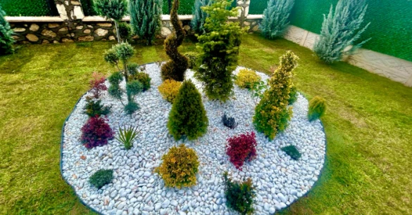 Arslan Ticaret Ahmet Arslan