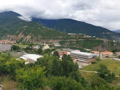 Artvin Çoruh Üniversitesi