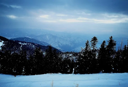 Atabarı Turizm & Rent A Car