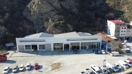 Atılgan Artvin Ford-Renault-Dacia Servis