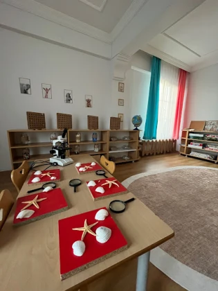 Avrupa Çocuk Akademisi Iğdır