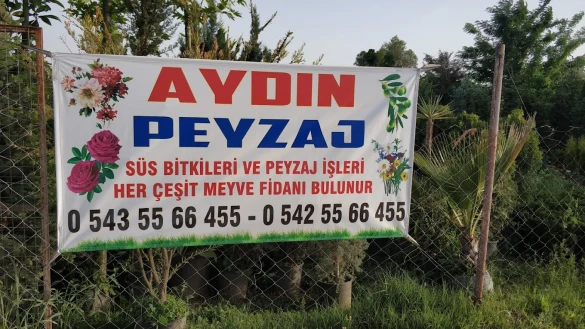 Aydın Peyzaj