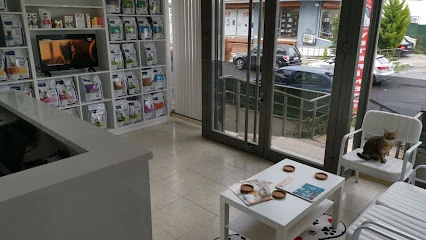 Aydınevler Veteriner Kliniği | Özel Veteriner - Maltepe/Küçükyalı/Aydınevler Veteriner