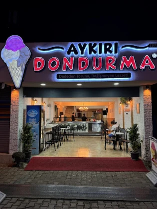 Aykırı Dondurma 1973