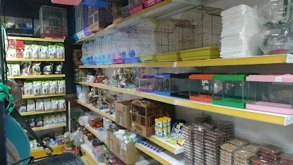 Aykuş Petshop