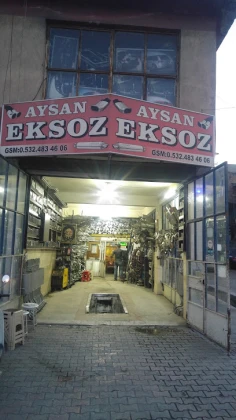 Aysan Egzoz