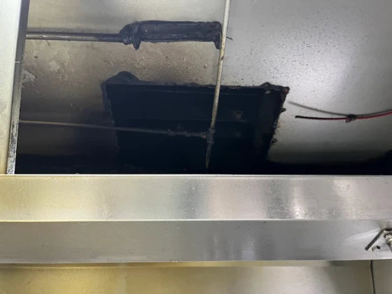 Aytunç Baca Temizleme