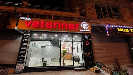 Bağcılar Acil Veteriner/Bağcılar Veteriner Kliniği