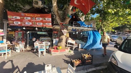 Balıkçı Şadi