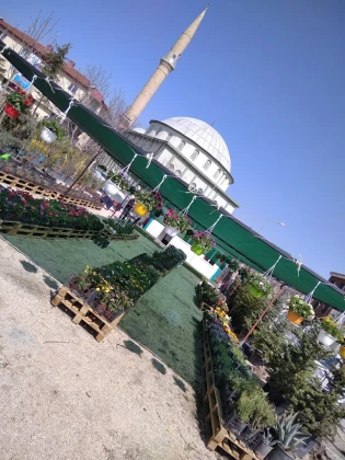 Balikesir Defne Peyzaj