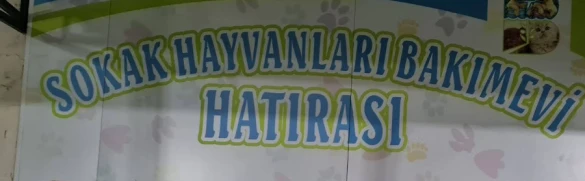 Balıkesir Sokak Hayvanları Bakımevi