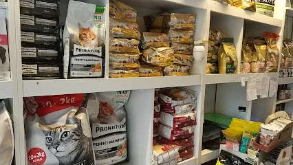 Balıkesir Veteriner Kliniği - Akademi