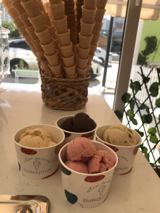 Balkaymak Dondurma Aliya İzzet Begoviç Şb