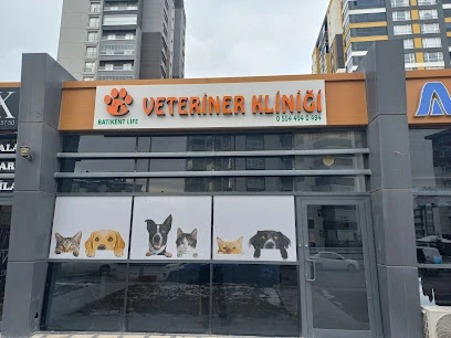 Batıkent Life Veteriner Kliniği-Batıkent Veteriner-Batıkentte Veteriner-Yenimahalle Veteriner