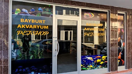 Bayburt Akvaryum Petshop