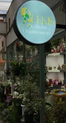 Belkıs Çiçek Organizasyon
