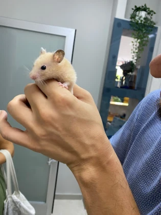 Bella & Vita Veteriner Kliniği