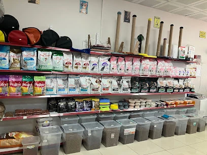 Beril Petshop