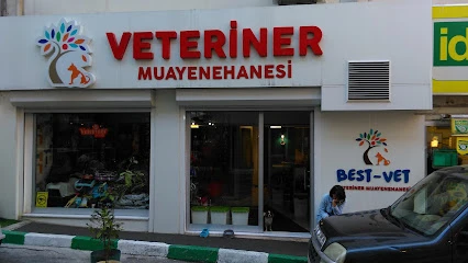 Best Vet Veteriner Muayenehanesi