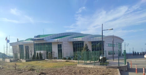 Beü Yarı Olimpik Yüzme Havuzu