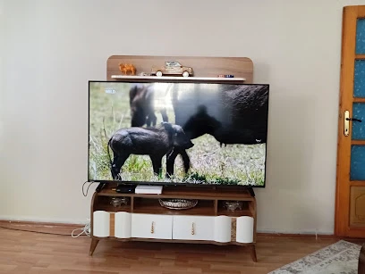 Bitlis Vestel Yetkili Servisi