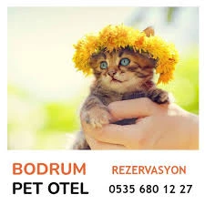 Bodrum Pet Otel