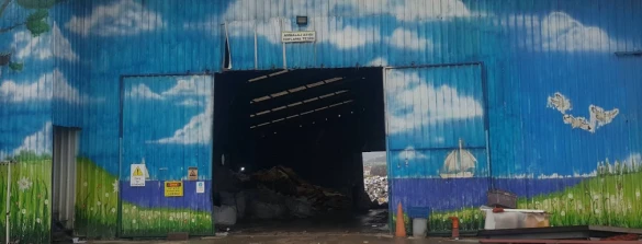 Bolçev Geri Dönüşüm