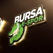 Bursa E Spor