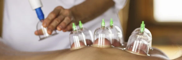 Bursa Hacamat Merkezi, Manuel Terapi(Boyun Fıtığı, Bel Fıtığı, Sırt Ağrıları), Sülük Tedavisi