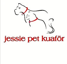 Bursa Jessie Pet Kuaför