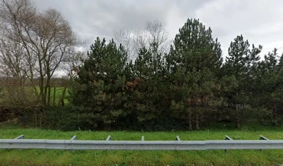 Bursa Polisaj - Tarhan Polisaj