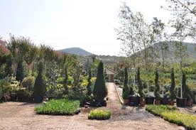 Büyük Çamlıca Fidanlığı