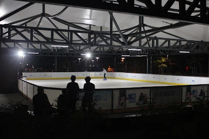 Buz Pisti / Hazar Buğra Küçük