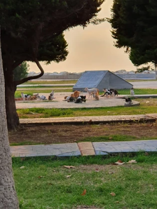 Buzcu Emin Mezitli Şubesi