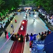 Çam Kır Düğünü