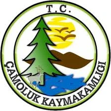 Çamoluk Kaymakamlığı