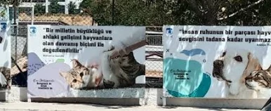 Çanakkale Belediyesi Sokak Hayvanları Geçici Tedav