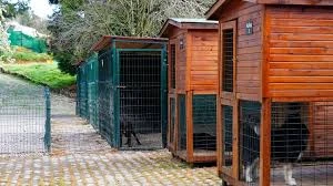 Çanakkale Köpek Oteli Pansiyonu / Tayfun Pet Hotel