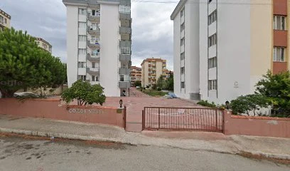 Çanakkale Web Tasarım