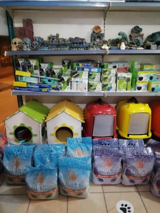 Canan Petshop