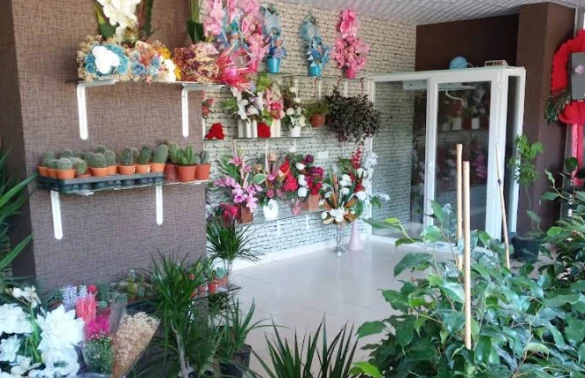 Çankırı Botanik Çiçek