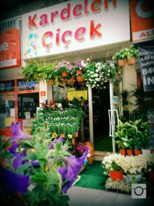 Çankırı Kardelen Çiçekçilik