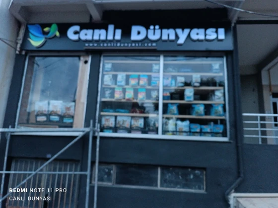 Canlı Dünyası