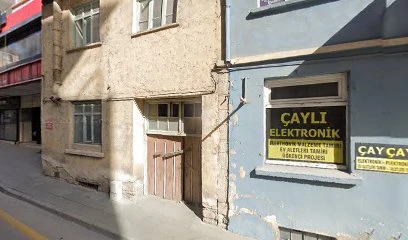 Çaylı Elektronik