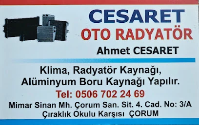 Cesaret Oto Radyatör