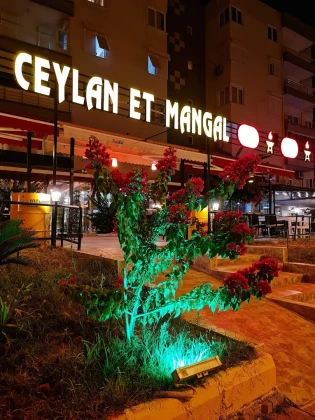 Ceylan Et Mangal