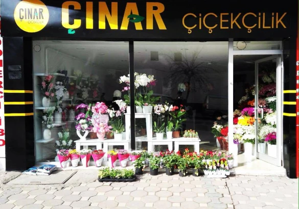 Çınar Çiçekçilik