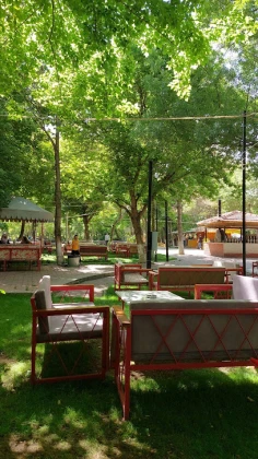 Çınaraltı Aile Çay Bahçesi