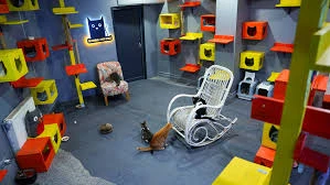 Çizmeli Kedi Petshop & Kedi Oteli - Kedi Pansiyonu